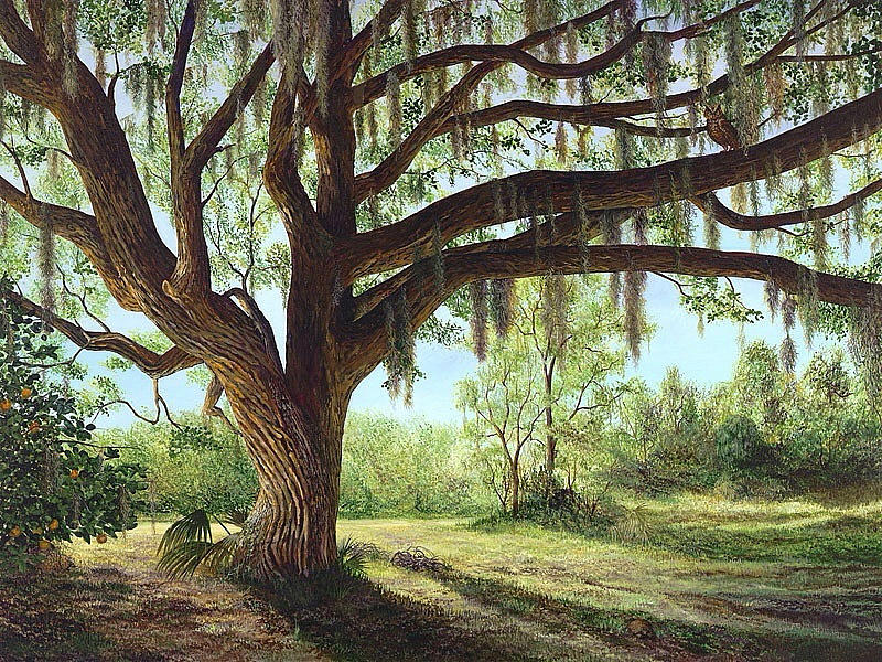 Nature Painting - Wise ol Oak by AnnaJo Vahle