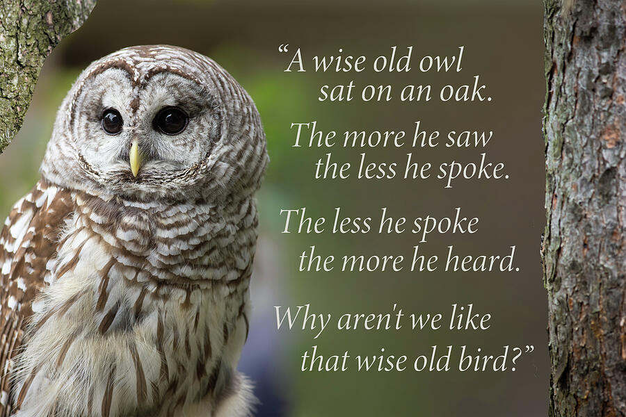 Inspirational Photograph - Wise Old Owl by Dale Kincaid