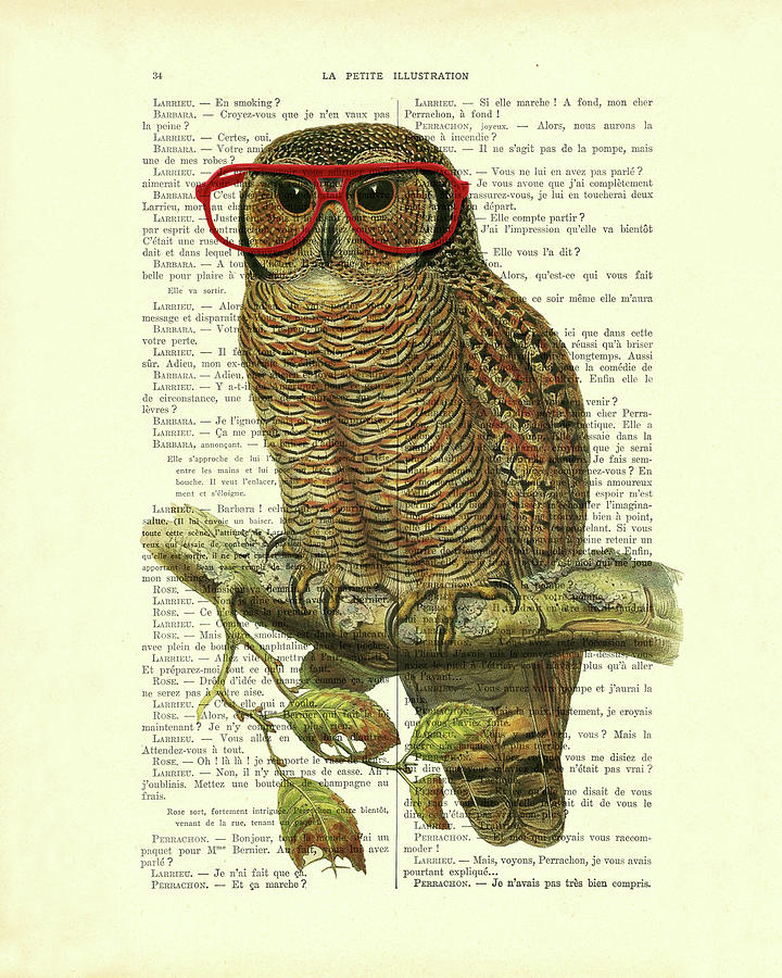 Owl Digital Art - Wise owl by Madame Memento