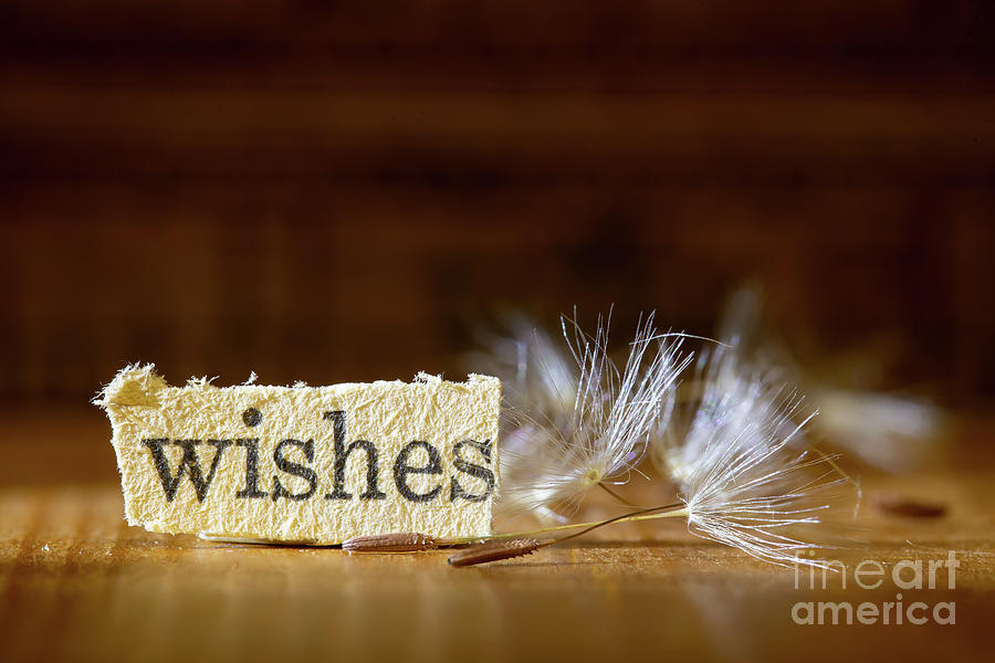 Wishes 3 Photograph