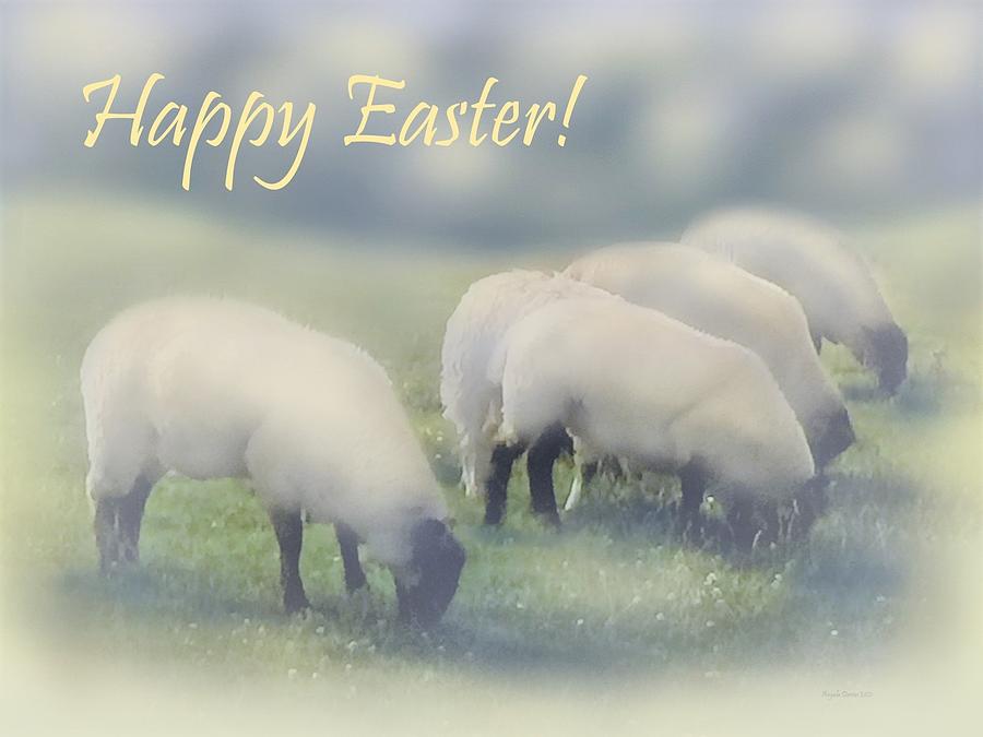 Wishing Ewe A Happy Easter Photograph by Angela Davies