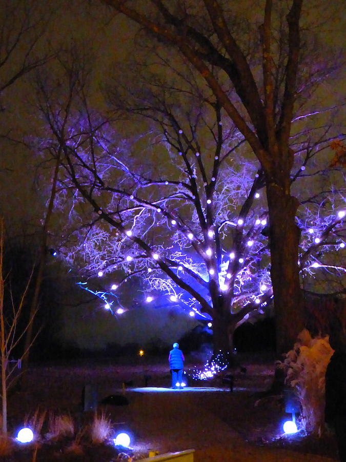 Man Making A Wish At The Whispering Tree White And Blue Photograph