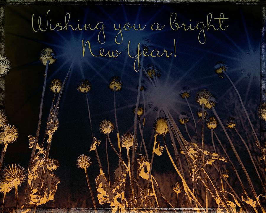 Wishing You A Bright New Year Greeting Card Photograph