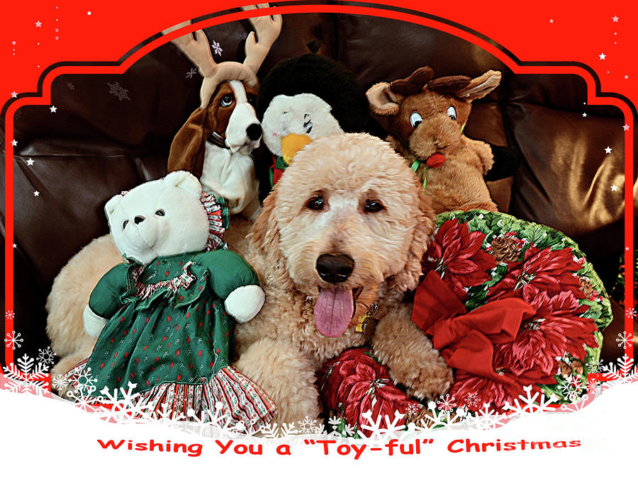Christmas Photograph - Wishing You A Toy-ful Christmas by Debby Pueschel