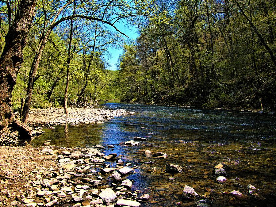 Wissahickon Creek on a Spring Day Photograph by Linda Stern