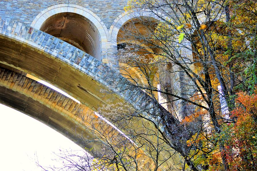 Wissahickon Memorial Bridge In Autumn Photograph