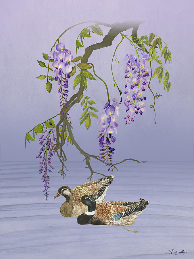 Wisteria and Wild Ducks Digital Art by M Spadecaller