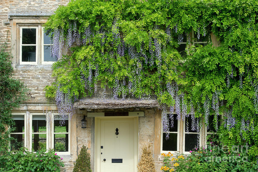 Wisteria Cottage in the Cotswolds Photograph by Tim Gainey