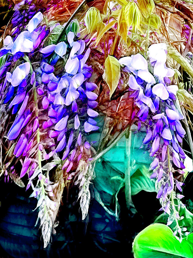 Wisteria Flowers Photograph by Her Arts Desire