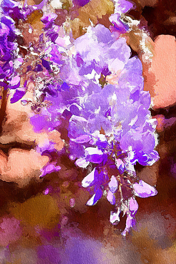 Nature Mixed Media - Wisteria flowers watercolor by Tatiana Travelways
