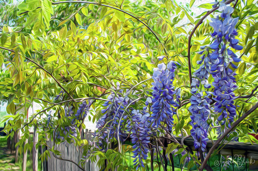 Wisteria on the Fence Oil Painting Digital Art by Angela Black