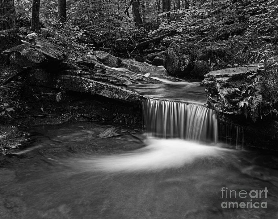 Wiswall Brook Falls in Black and White  Photograph by Steve Brown