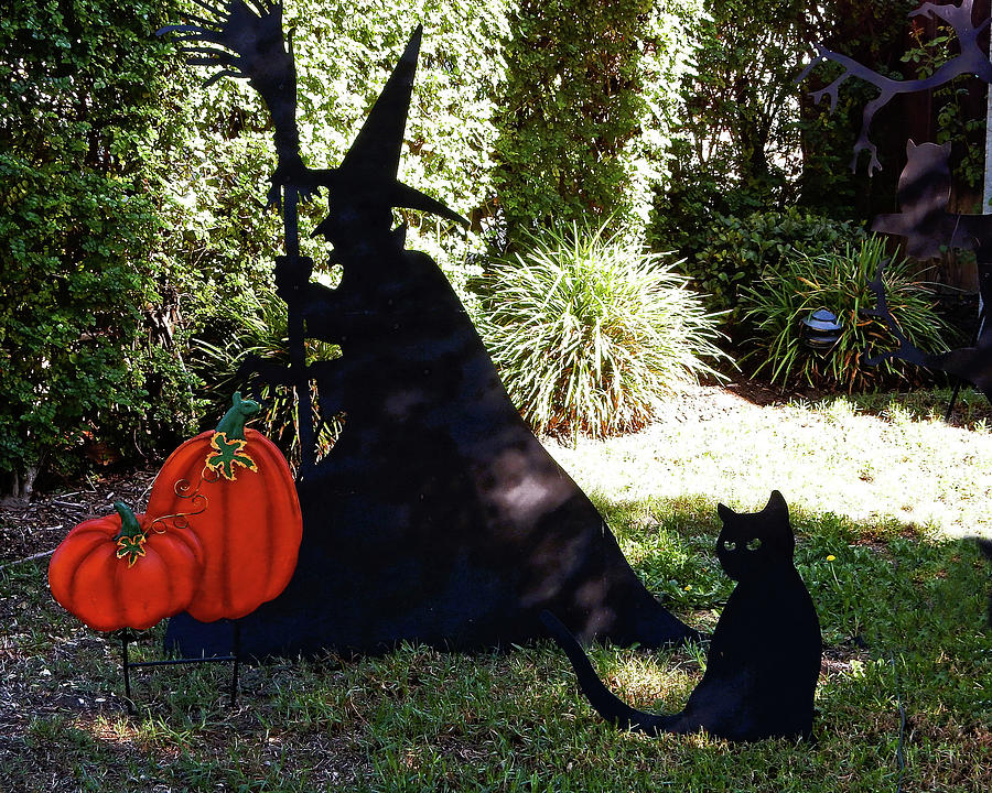 Witch and Black Cat Photograph by Andrew Lawrence