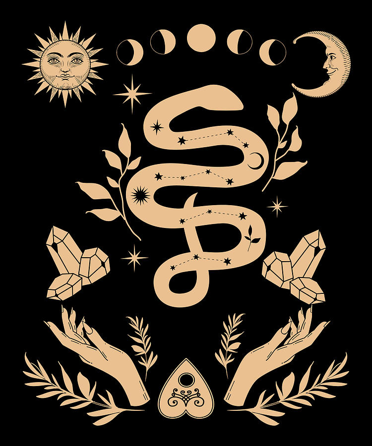 Witch hand with snake and moon silhouette Digital Art by Norman W ...