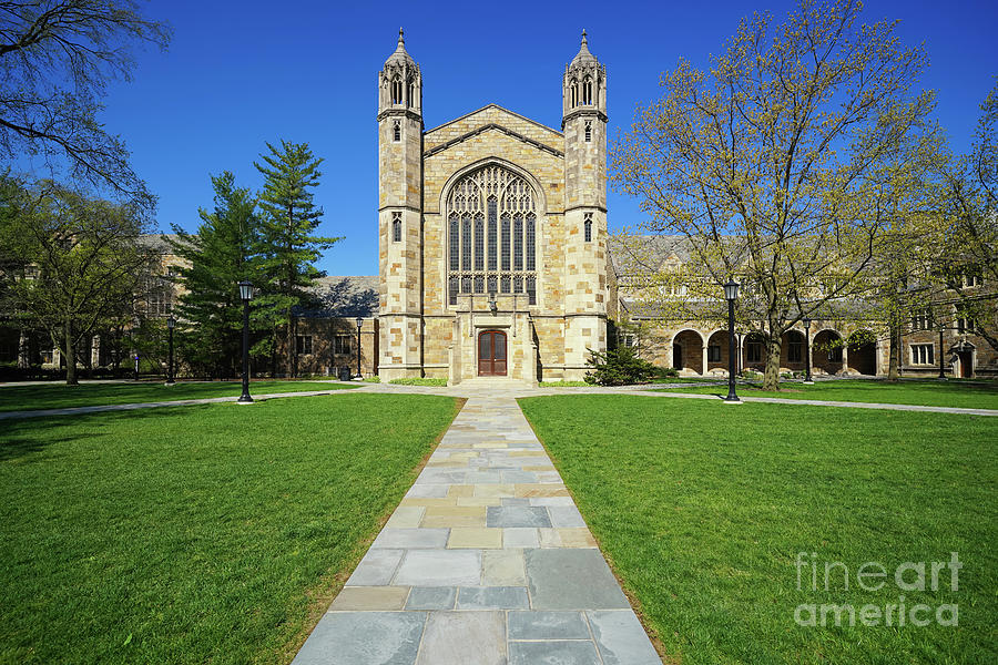 Within The Law Quad U Of M Photograph