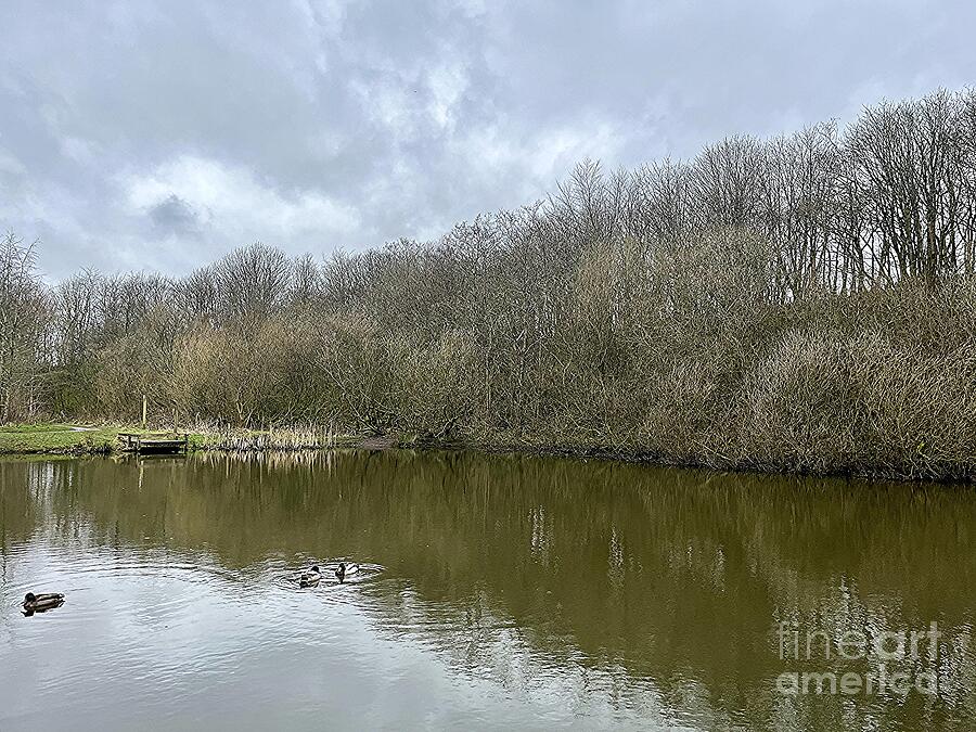 Withnell Pond Photograph by Art Hounds - Fine Art America