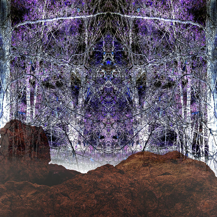 Wizards Forest Home Digital Art by Teresamarie Yawn