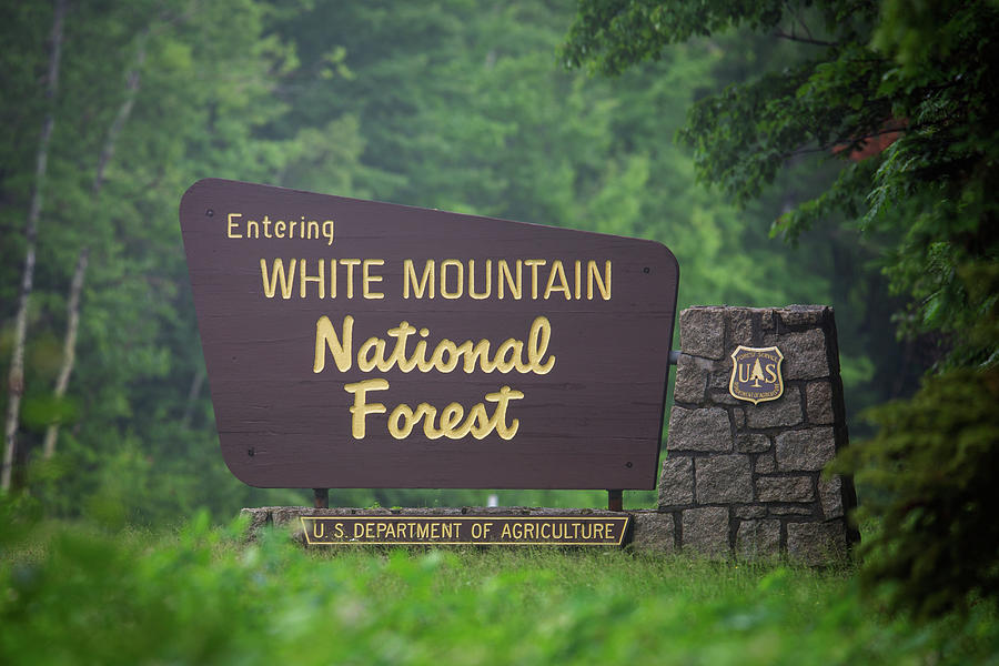 Summer Photograph - WMNF Summer Sign by White Mountain Images