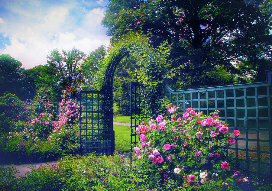Roses by the Gate Photograph by Jessica Jenney