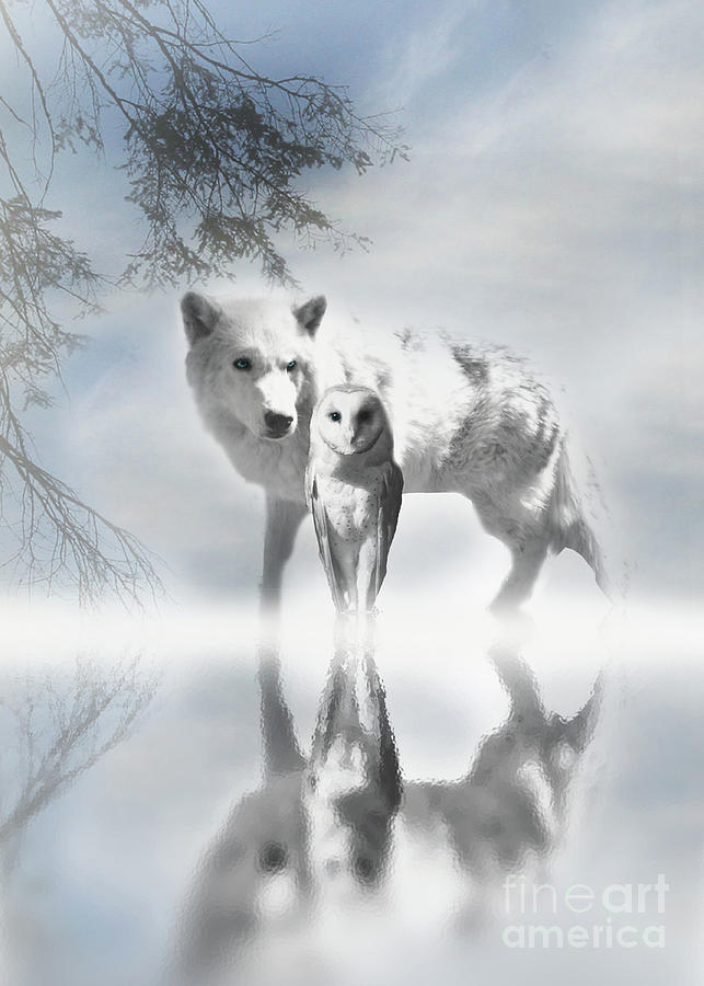 Wolf and Owl in Snow by Frozen Water Photograph by Stephanie Laird