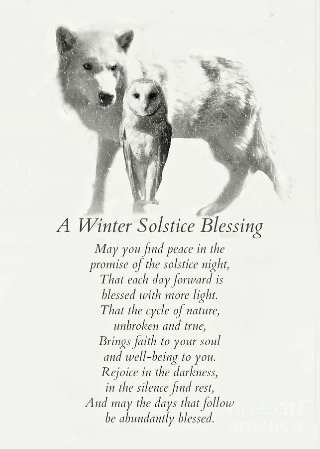 Wolf and Owl in Snow Winter Solstice Blessings Photograph by Stephanie  Laird - Fine Art America