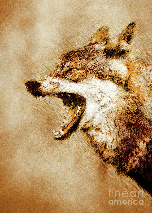 Wolf Animal #wolf Digital Art