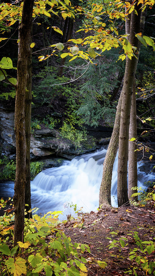 Wolf Creek Falls Photograph by Samantha Kennedy