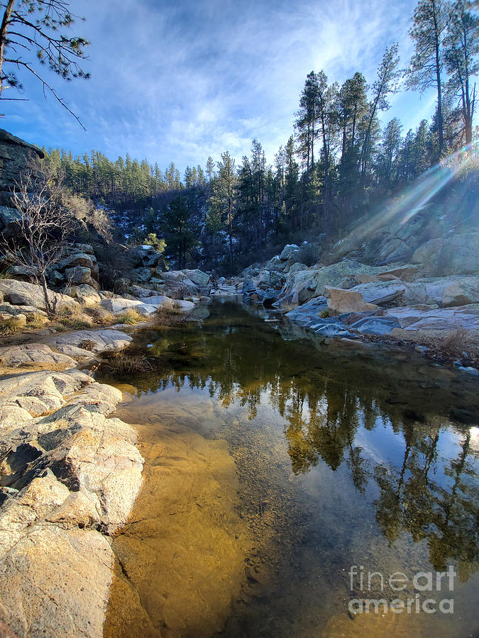 Nature Photograph - Wolf Creek by Nitara Hooper
