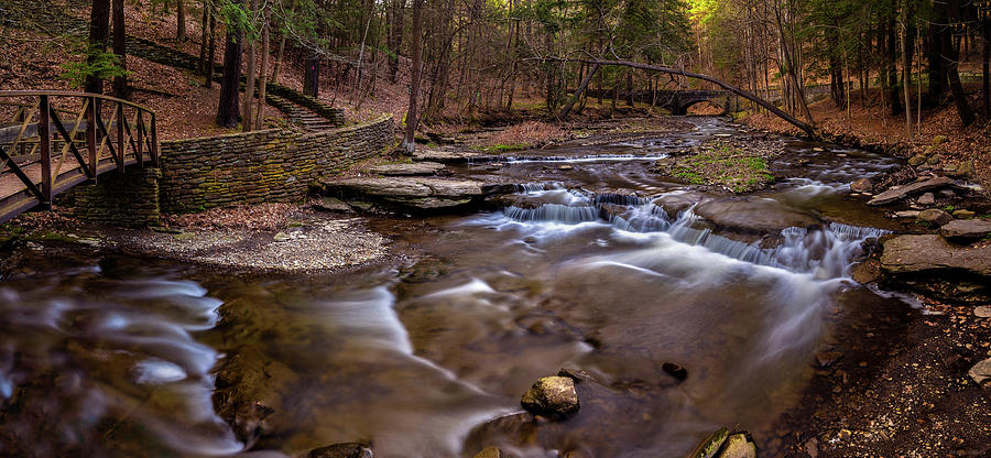 Nature Photograph - Wolf Creek Spring Pano by Mark Papke