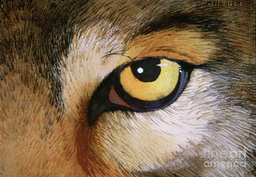 Wolf eye Painting by Skye Leona - Pixels