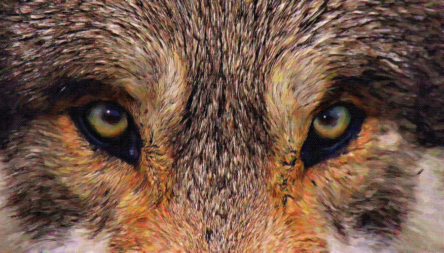 Wolf Eyes 1 Digital Art by Jan Bonner