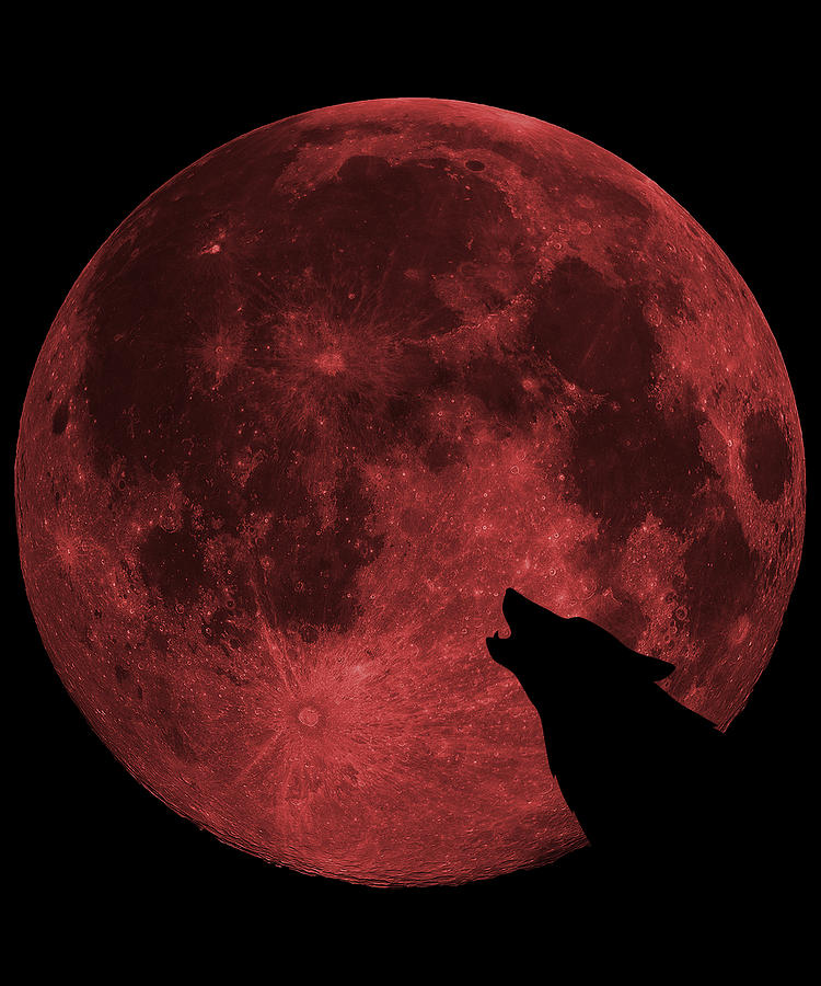 Wolf Howling Blood Moon Digital Art by Flippin Sweet Gear