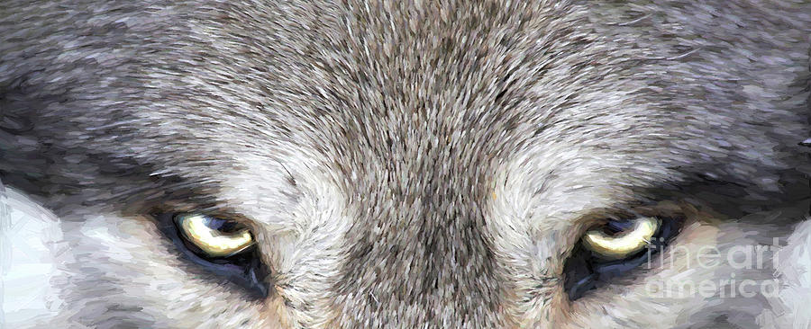Wolf Digital Art by Jim Hatch