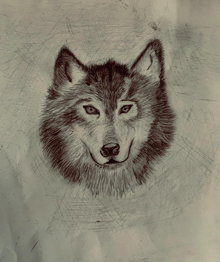 Wolf Drawing by Michelle Booth - Pixels
