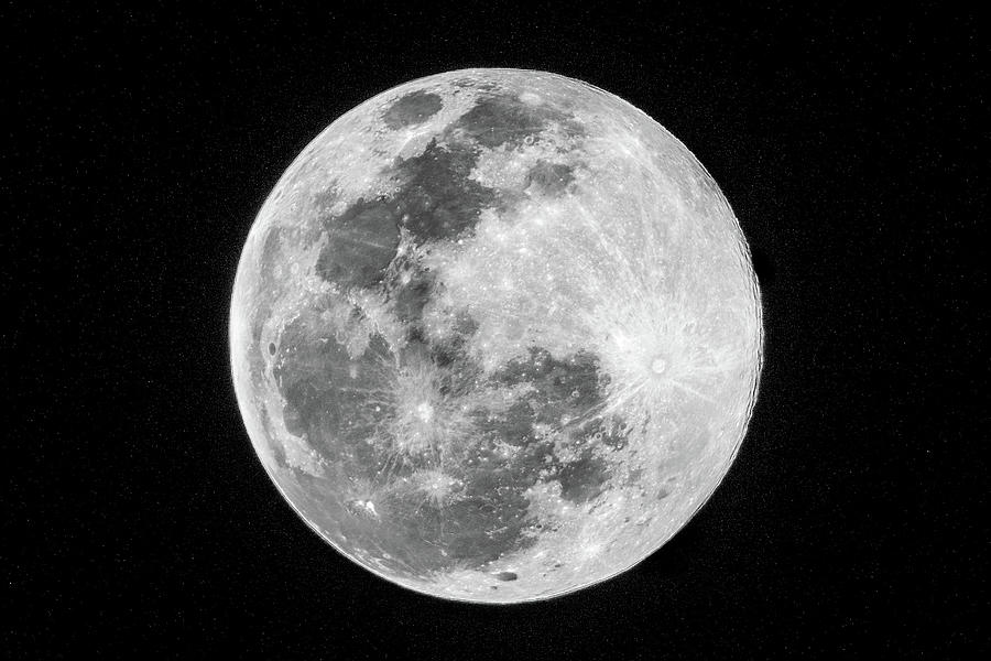 Wolf Moon Photograph by Bradford Martin