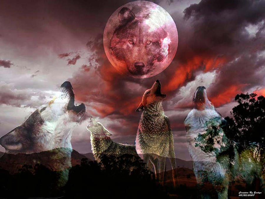 Wolf Moon Digital Art by Evelyn Patrick