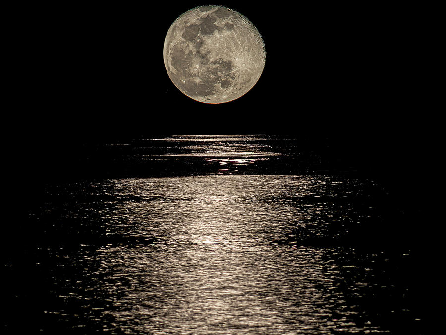 Wolf Moon Photograph