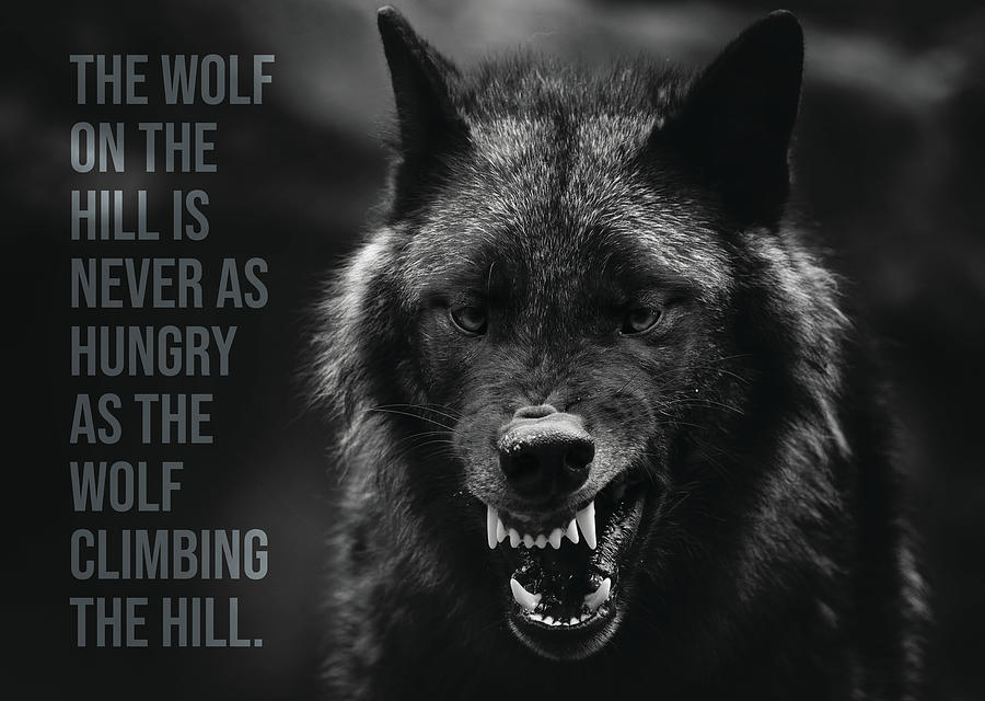 Wolf On The Hill - Hustle, Success, Entrepreneur Digital Art by Matthew ...