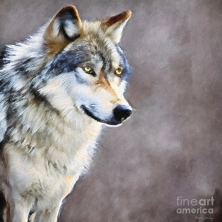 Wolf on Watch Painting by Christina Stanley - Fine Art America