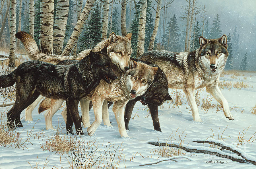 Wolves Painting - Wolf Pack by Cynthie Fisher