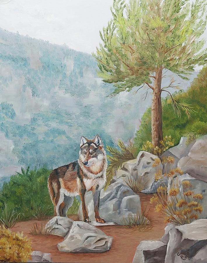 Wolf Pass Painting by Connie Rish