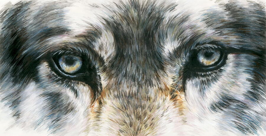Wolf Peer Painting by Barbara Keith