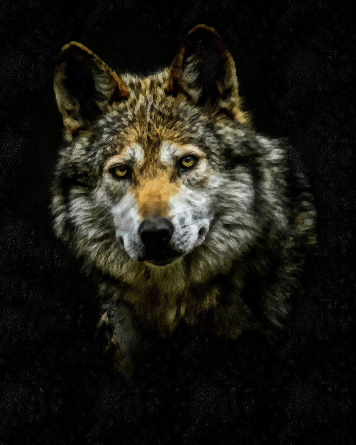 Wolf Portrait Digital Art by Ernest Echols