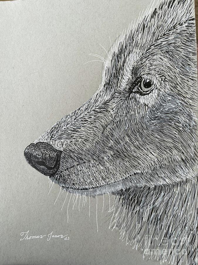Wolf profile  Painting by Thomas Janos