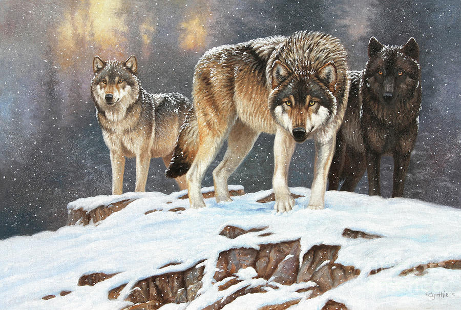 Wolves Painting - Wolf Ridge by Cynthie Fisher