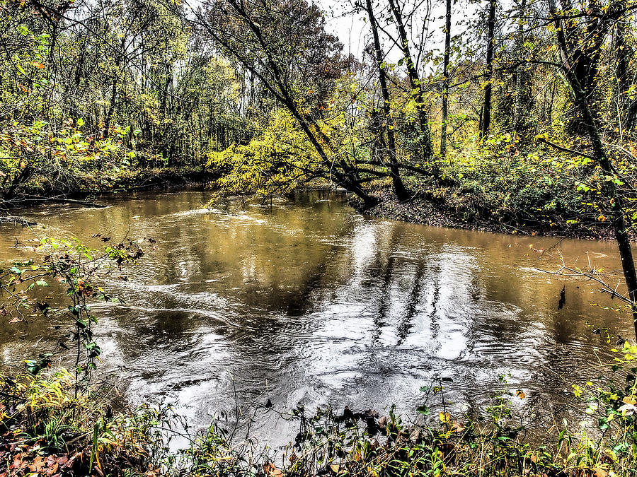Wolf River at William B Clark Conservation Area Photograph by James C Richardson