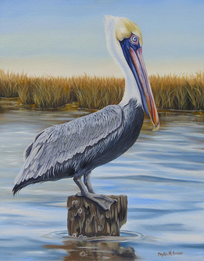 Wolf River Pelican Painting by Phyllis Beiser - Pixels