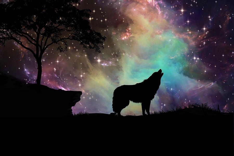 https://images.fineartamerica.com/images/artworkimages/mediumlarge/3/wolf-silhouette-against-starry-sky-brandy-barker.jpg