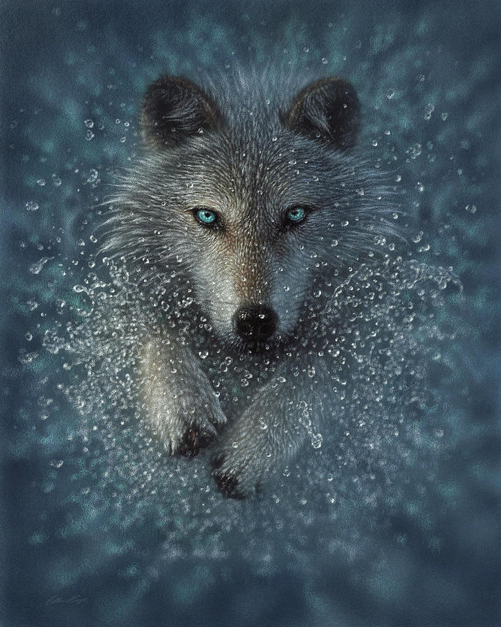 Wolf Splash Painting by Collin Bogle