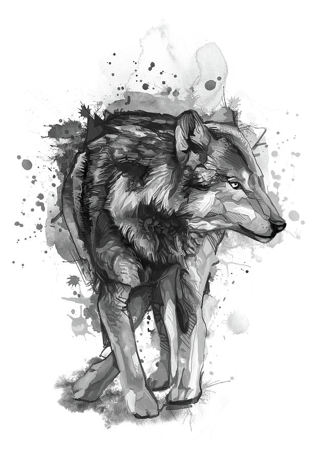 Wolf Watercolor Bw Digital Art